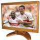 Illustration for article titled Widescreen Bamboo LCD TV
